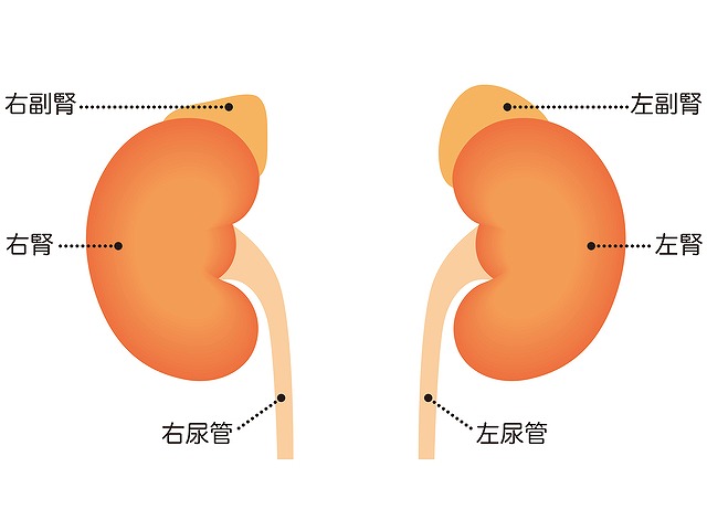 副腎疾患